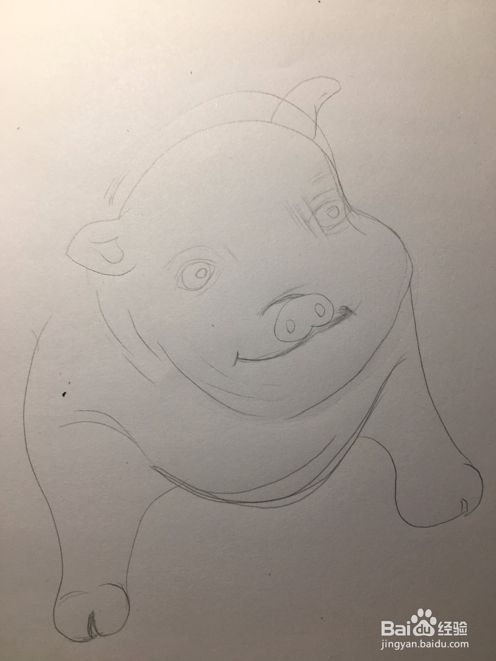 教你画一只萌萌的肥猪 猪年简笔画猪