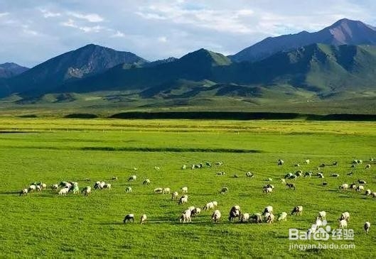在中国最美的六大草原是哪些