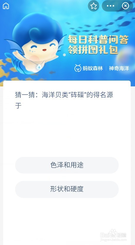 海洋贝类砗碟的得名源于色泽和用途吗