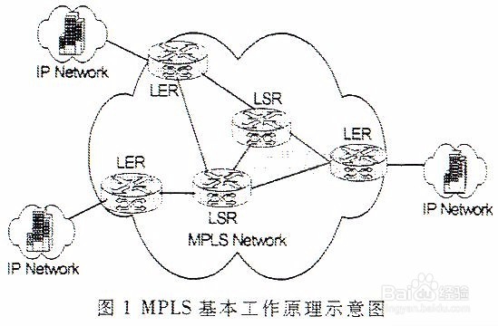 多协议标签交换（MPLS）