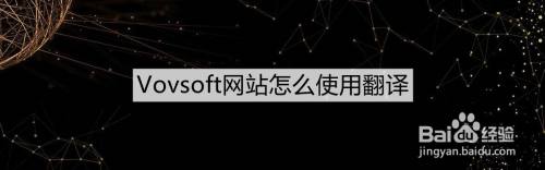 Vovsoft网站怎么使用翻译