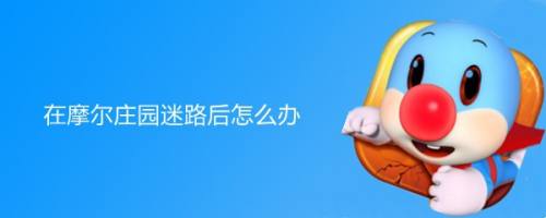 在摩尔庄园迷路后怎么办