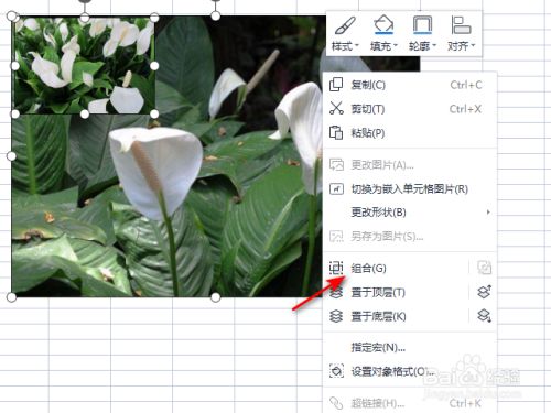 wps2021表格怎么将两张图片组合在一起