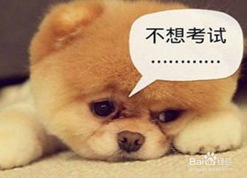 高考来临，家长应该怎么做？