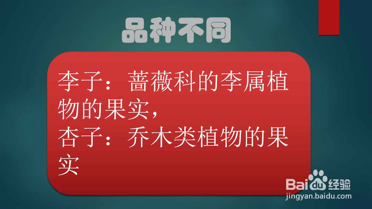 李子和杏子有什么区别