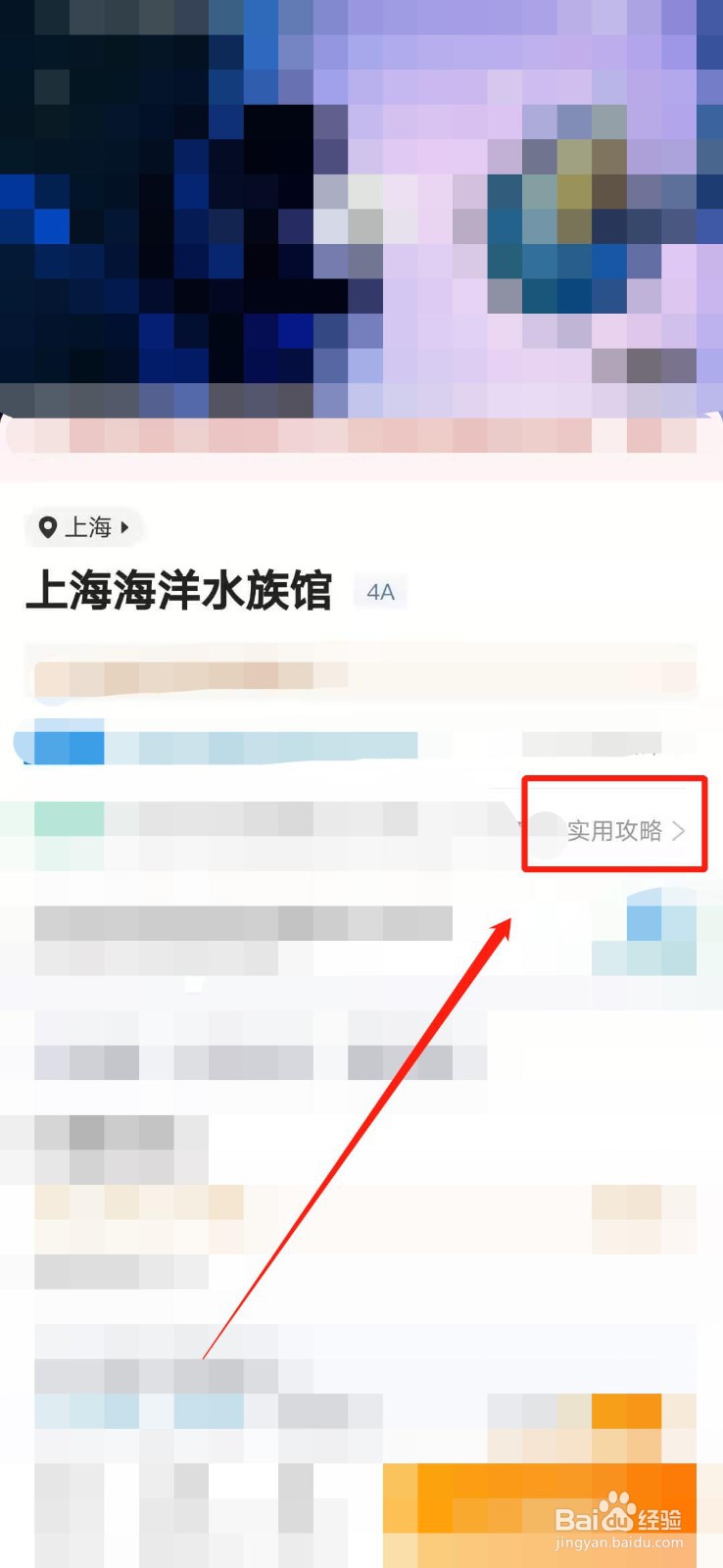 上海海洋水族馆一日游攻略