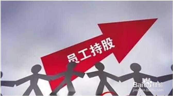 嘿,您瞧HR对员工持股制度的设计!