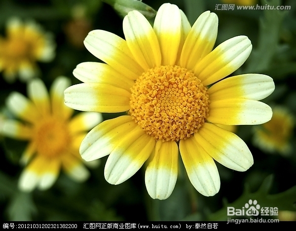 治冻疮，冻疮治疗