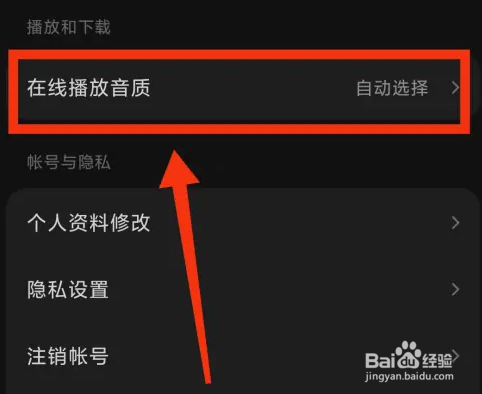 汽水音乐如何设置音质