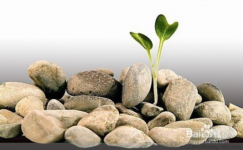 怎样安排你的时间写文章？