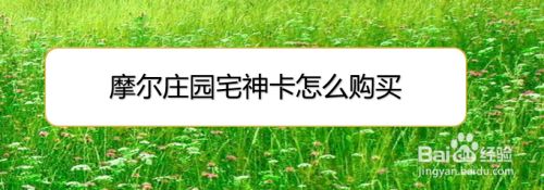 摩尔庄园宅神卡怎么购买