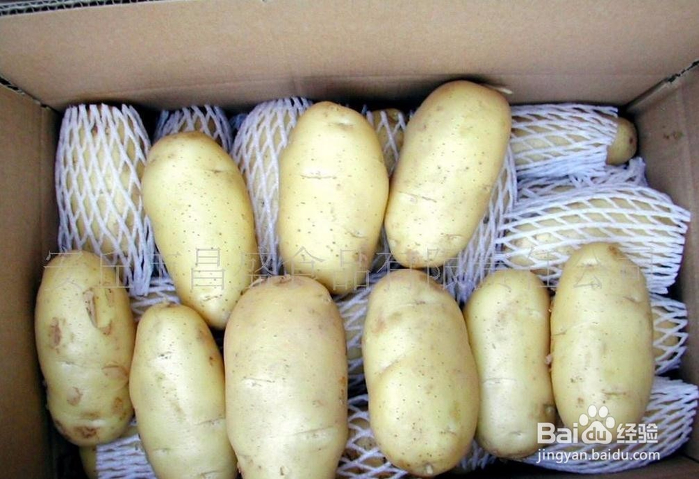 马铃薯的挑选方法,营养师教你烹饪马铃薯