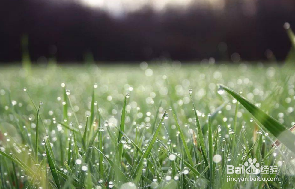 春怎么背诵能快更能记住