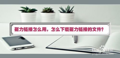 磁力链接怎么用，怎么下载磁力链接的文件？