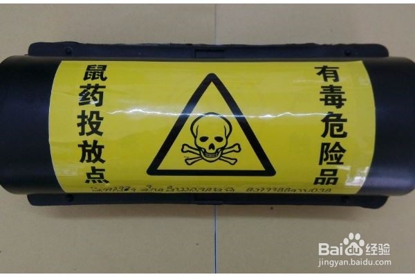 怎么治老鼠又快又撤底