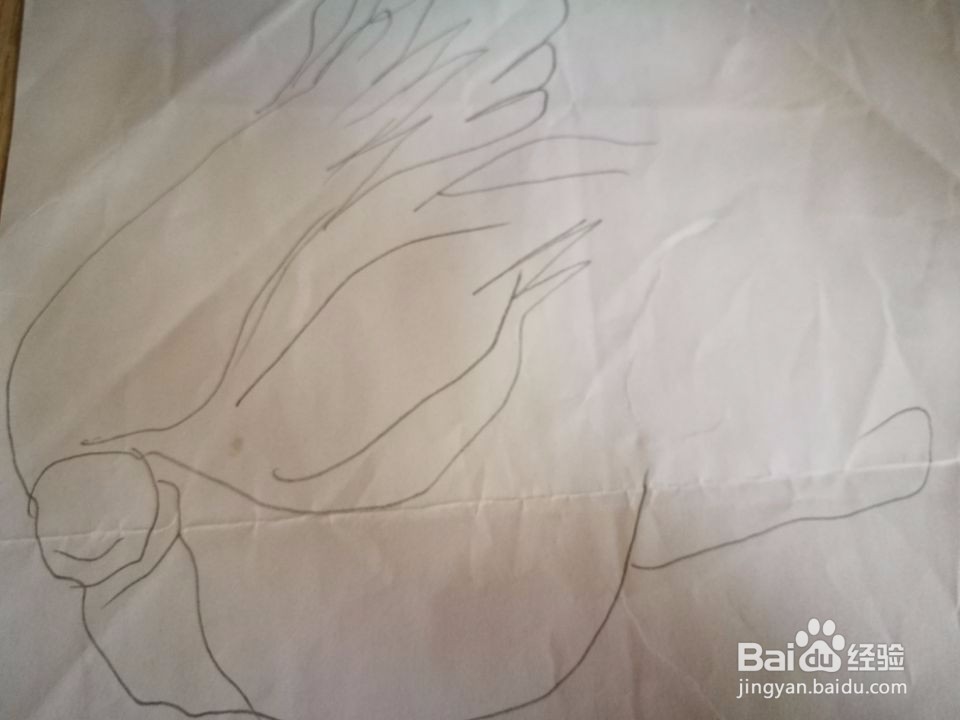 大白菜简笔方法