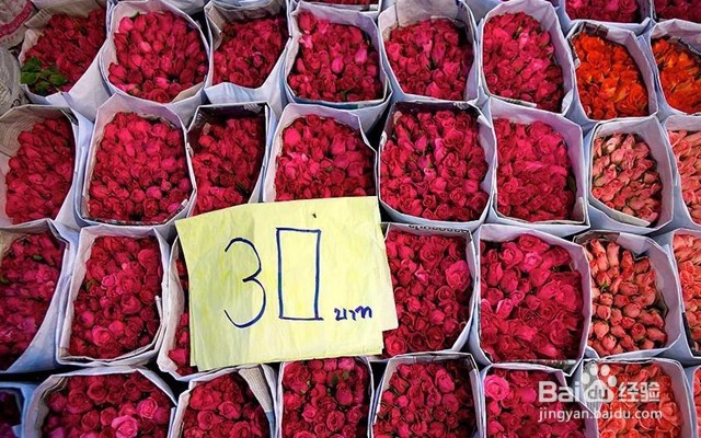 泰国曼谷旅游攻略-中国出镜率最高的城市