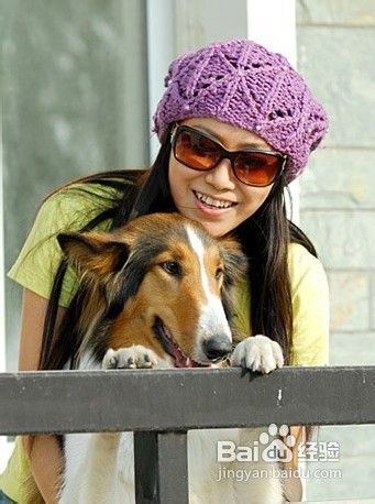 如何快速训练一只乖乖的狗狗