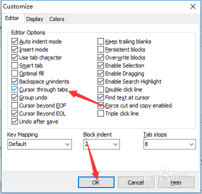 DzSoft PHP Editor怎么设置光标通过选项卡