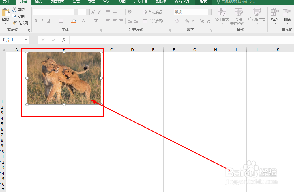 Excel如何让图片跟随单元格尺寸变化