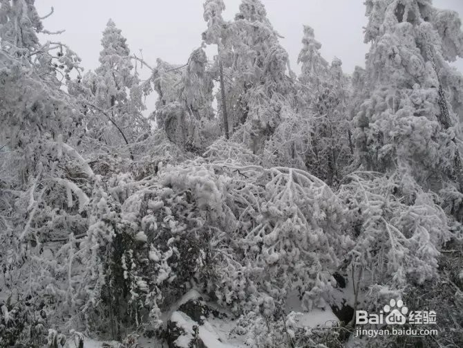 在难熬的日子里来一份心灵鸡汤