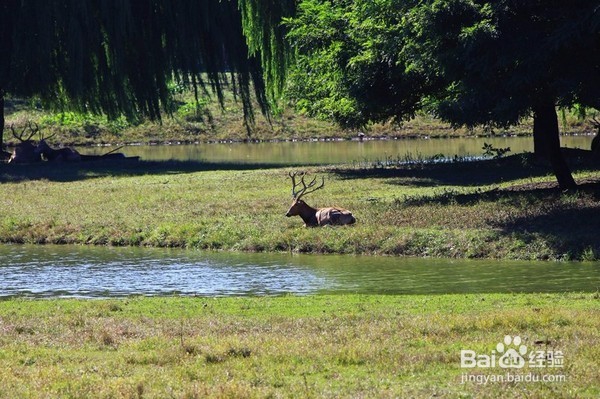 曾是中国最大的湖泊，面积相当于10个青海湖
