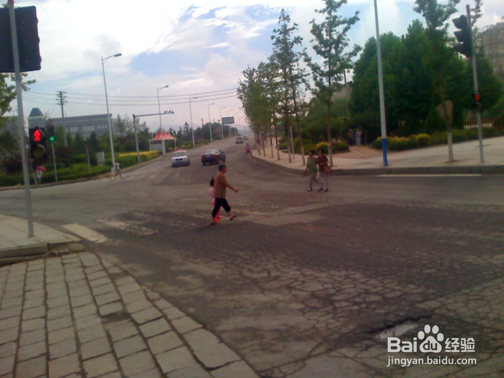 怎样告诉孩子安全过马路--12