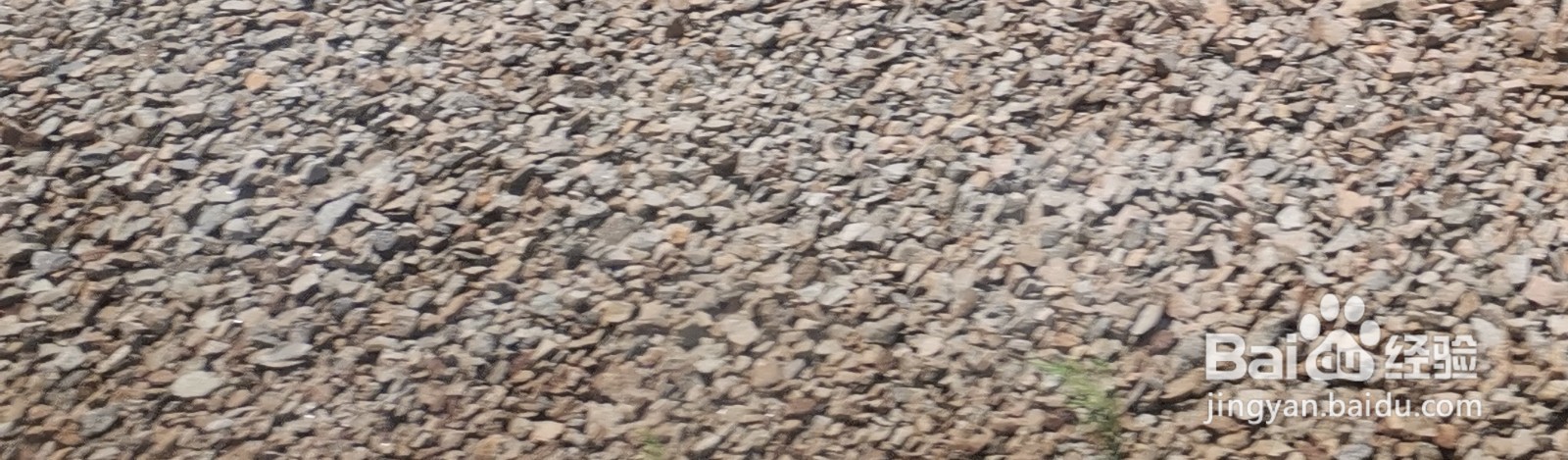 石头的头怎么注音