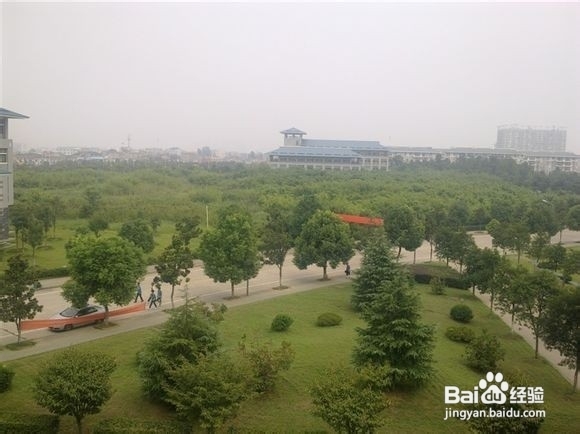 【湖中医小y学长大放送】湖中医导游篇