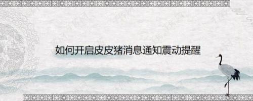 如何开启皮皮猪消息通知震动提醒
