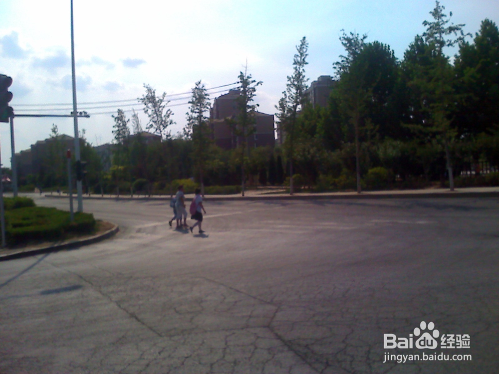 怎样告诉孩子安全过马路--26