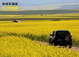 影响行车记录仪的夜视效果的因素有哪些