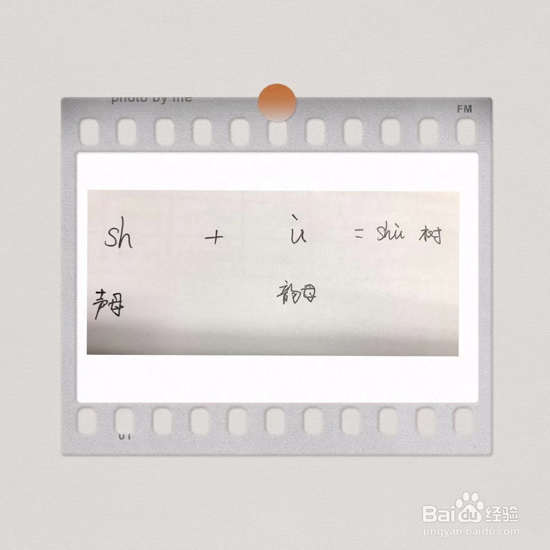 植树拼音怎么拼