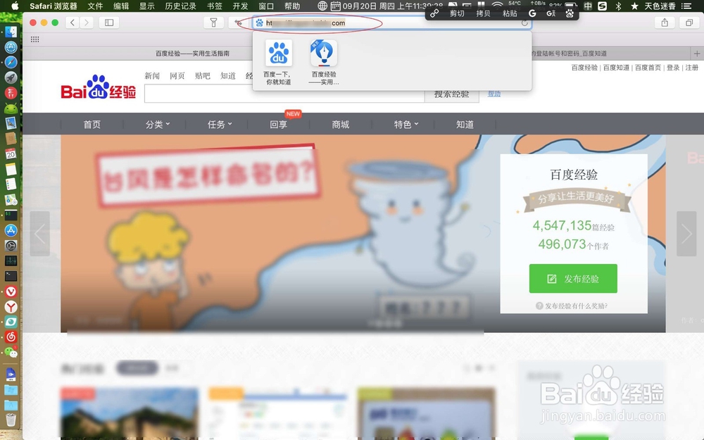 safari自动填充表单 Safari自动填充密码怎么用
