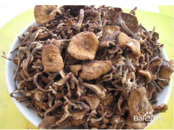 怎么判断干蘑菇发霉了-百度经验