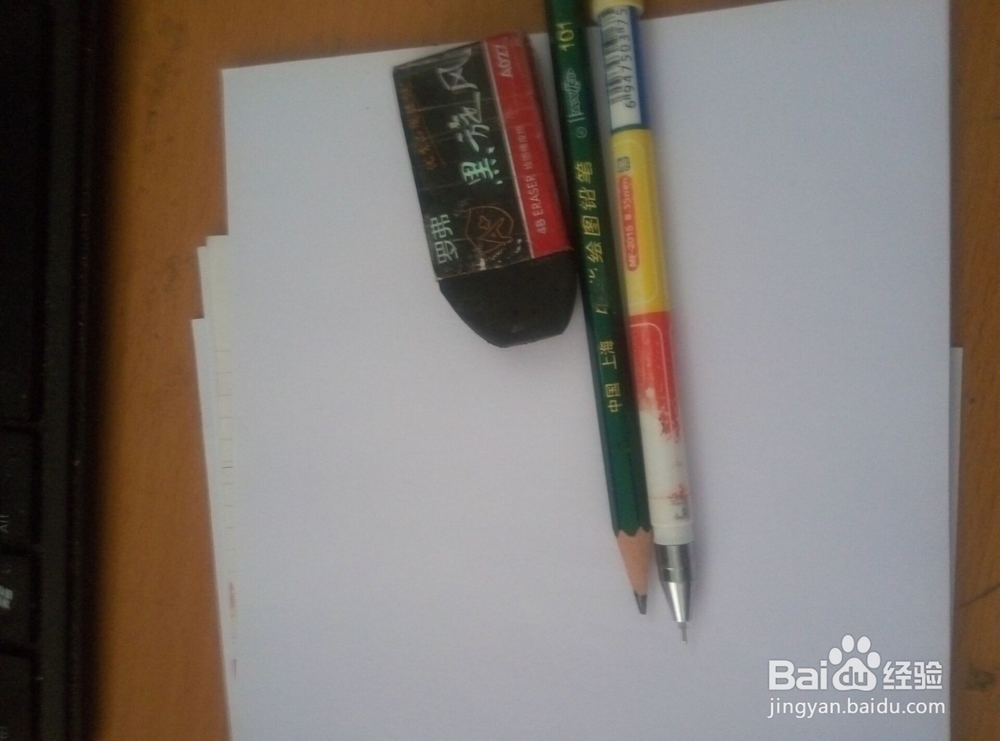 简笔画------海龟（小乌龟）