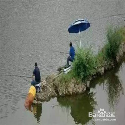 雨天怎样钓鱼