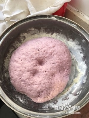 教你怎么做紫甘蓝馒头