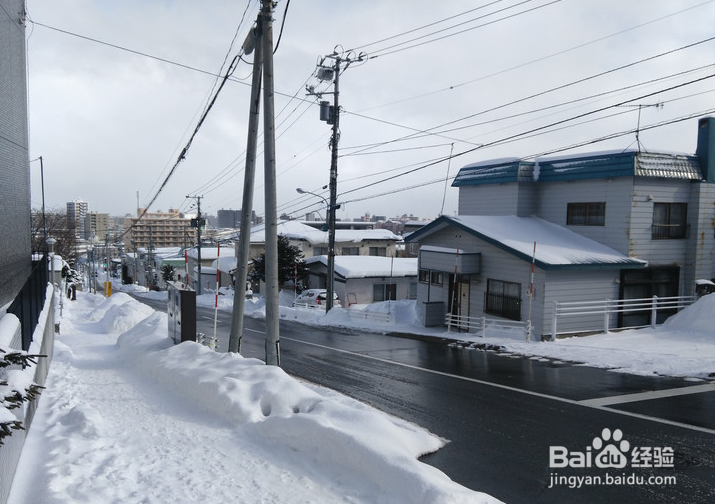 一条性价比爆棚的万元以下日本北海道观雪路线