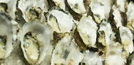 澳大利亚旅游攻略：[10]霍巴特海鲜大餐