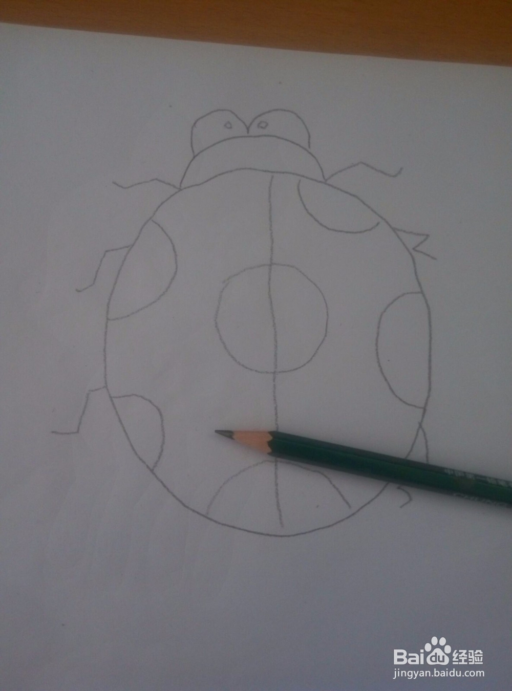 怎样画出可爱的七星瓢虫