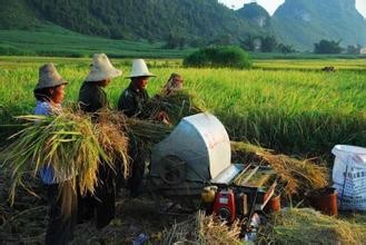 国庆过后，到长沙乡村怎样找农村人的乐子！！！