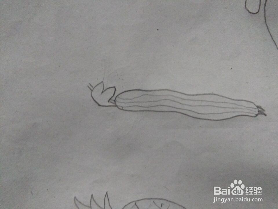 丝瓜简笔画怎么画