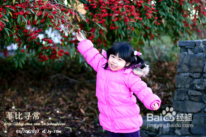 冬天的伊丽莎白女皇公园&发烧(组图)