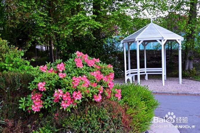 英国游记：[1]富庶之城阿伯丁·酒香满溢