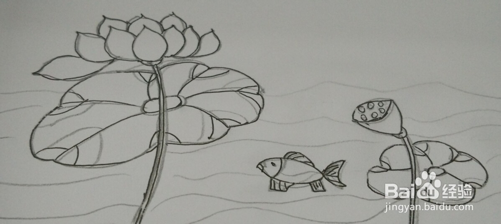 油画棒画【荷花】简单教程