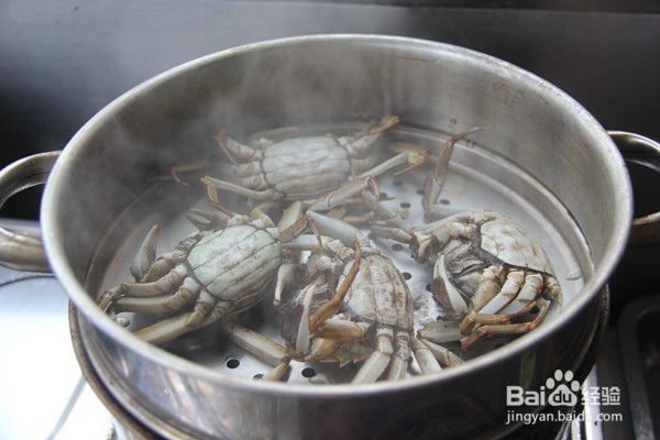清蒸螃蟹如何清洗
