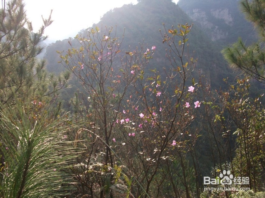 反穿福建福州十八重溪山脊,不一样的味道