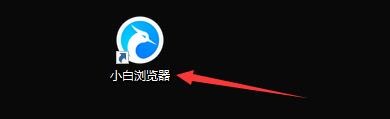 如何设置小白浏览器显示书签栏功能