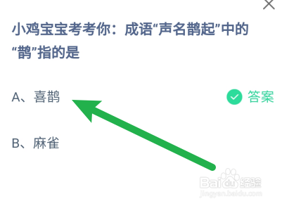 蚂蚁庄园：成语